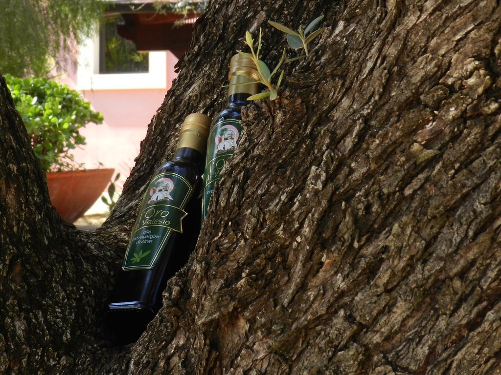 Masseria Pisciani Torchiarolo Exterior foto